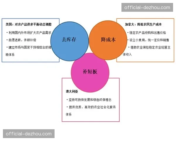 转播端侧重实时素材分发 改变传统内容生产逻辑